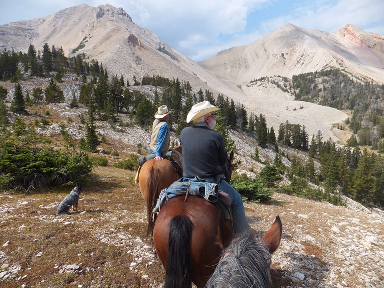 montana dude ranch vacations near yellowstone