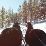 montana-dude-ranch-activities-sleigh-ride-dinner-gallery-4