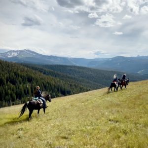 Yellowstone Horseback Riding Tours