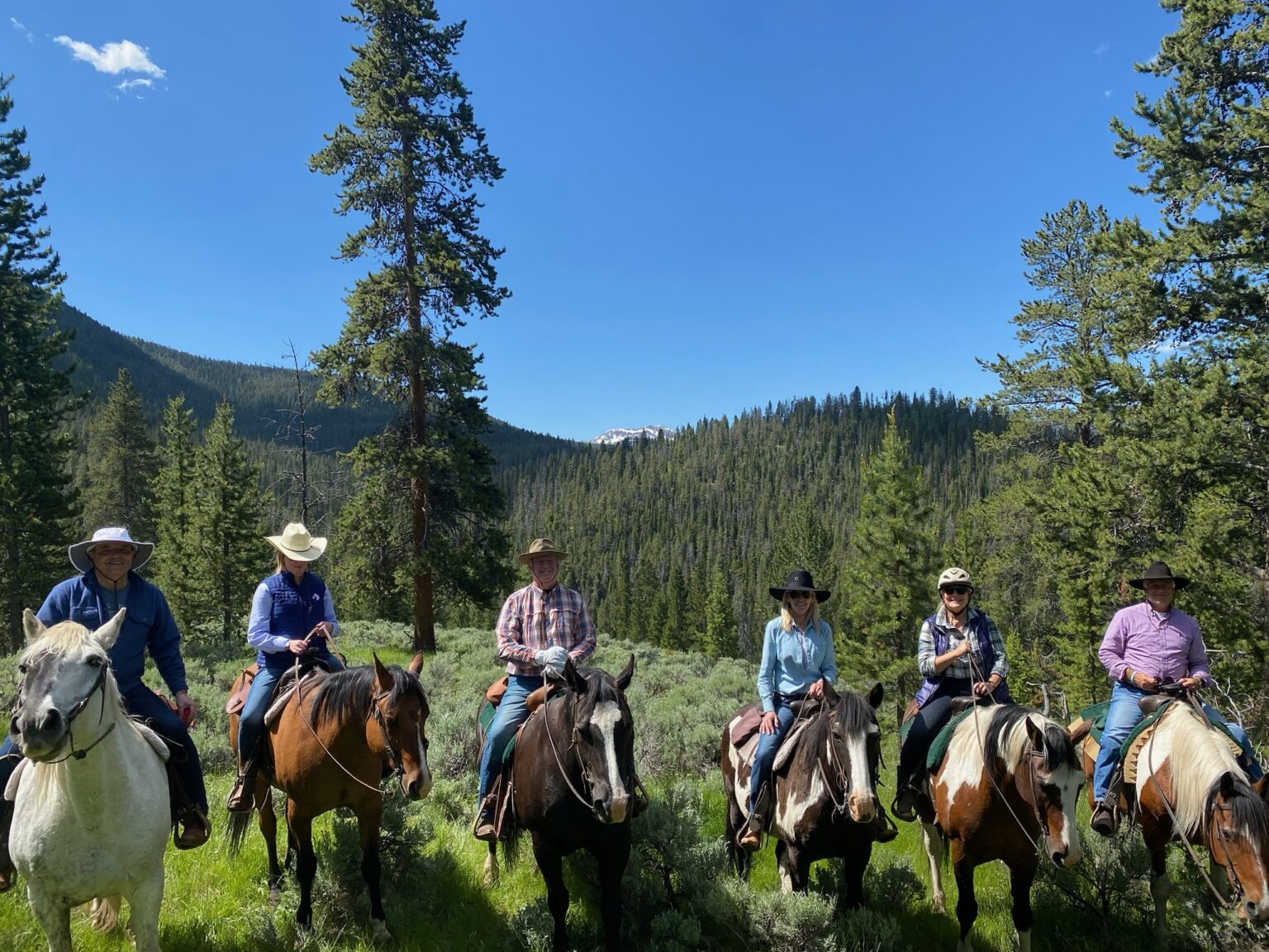 Jobs at Elkhorn Ranch. Join our Summer crew